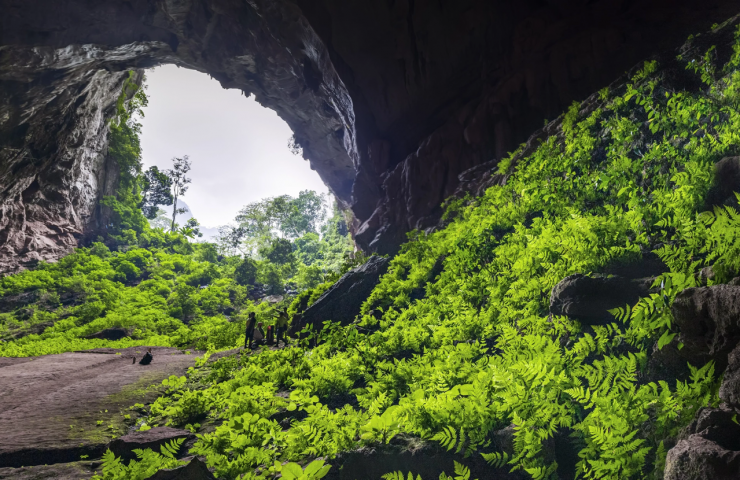 'Hố sụt tử thần' sâu nhất Việt Nam được hình thành từ hàng triệu năm trước, khung cảnh bên trong gây choáng ngợp - ảnh 2