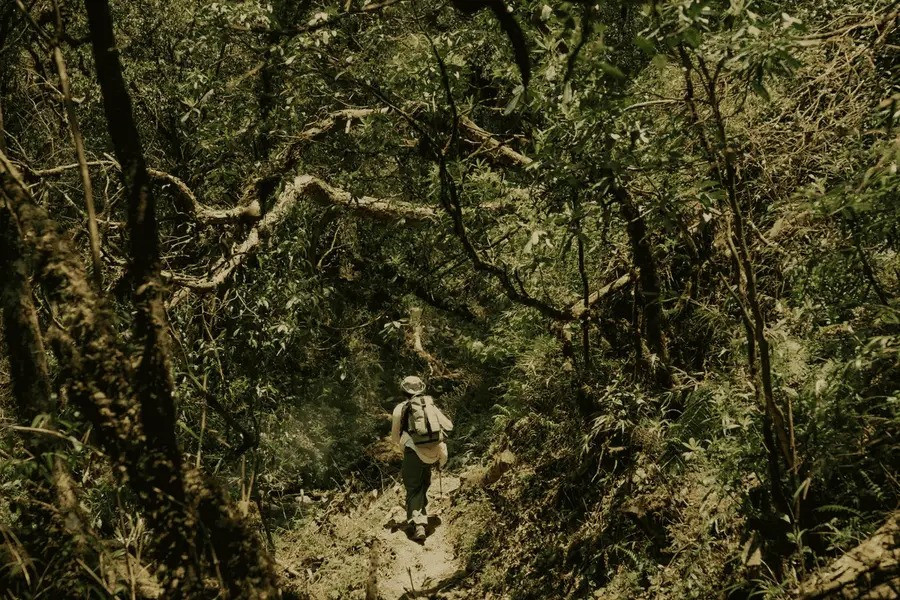 Ngọn núi của Việt Nam bất ngờ xuất hiện băng tuyết trắng xóa: Nằm ở độ cao 2.900m, được ví như ‘dải mây vắt ngang trời’ - ảnh 5