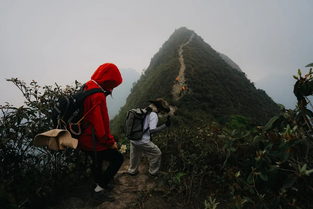 Ngọn núi của Việt Nam bất ngờ xuất hiện băng tuyết trắng xóa: Nằm ở độ cao 2.900m, được ví như ‘dải mây vắt ngang trời’ - ảnh 3