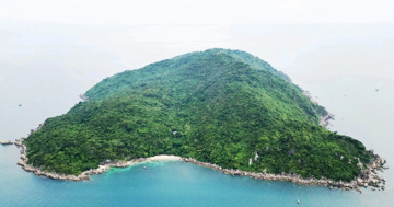 Huế bàn giao nhiều diện tích rừng cho Đà Nẵng