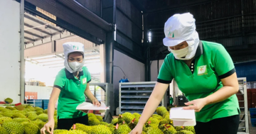 Rau quả Việt xuất khẩu gây bất ngờ