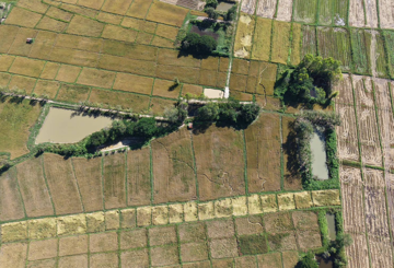 Cánh đồng lúa bất ngờ có dấu vết lạ, người dân hoang mang tìm lời giải