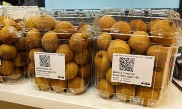 Lào bước vào 'địa hạt' xuất khẩu của Việt Nam, nước ta đang giữ vị trí số 2 toàn cầu