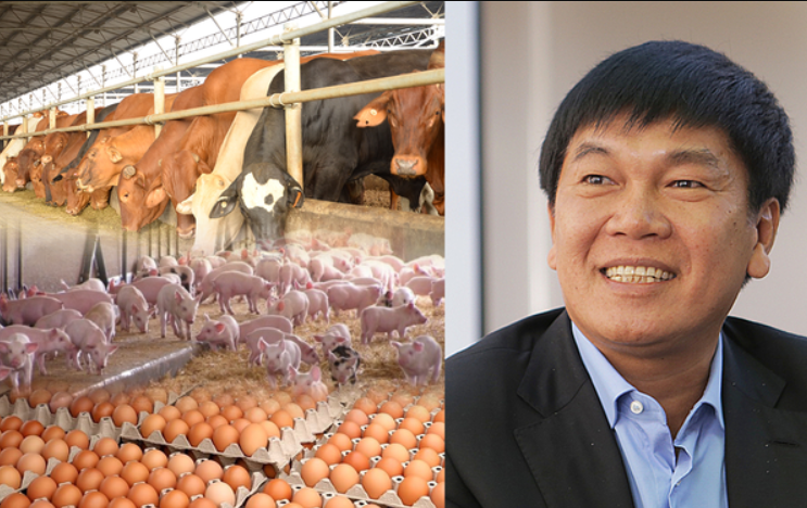 Ảnh chụp màn hình 2025-11-22 222305