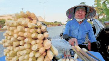 Loại củ mỗi năm chỉ có một lần, ăn giòn ngọt, nguyên vị sương sớm gây thương nhớ