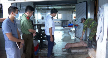 Vợ chồng chủ trang trại ở Hưng Yên tuồn thịt lợn nhiễm dịch tả châu Phi ra thị trường