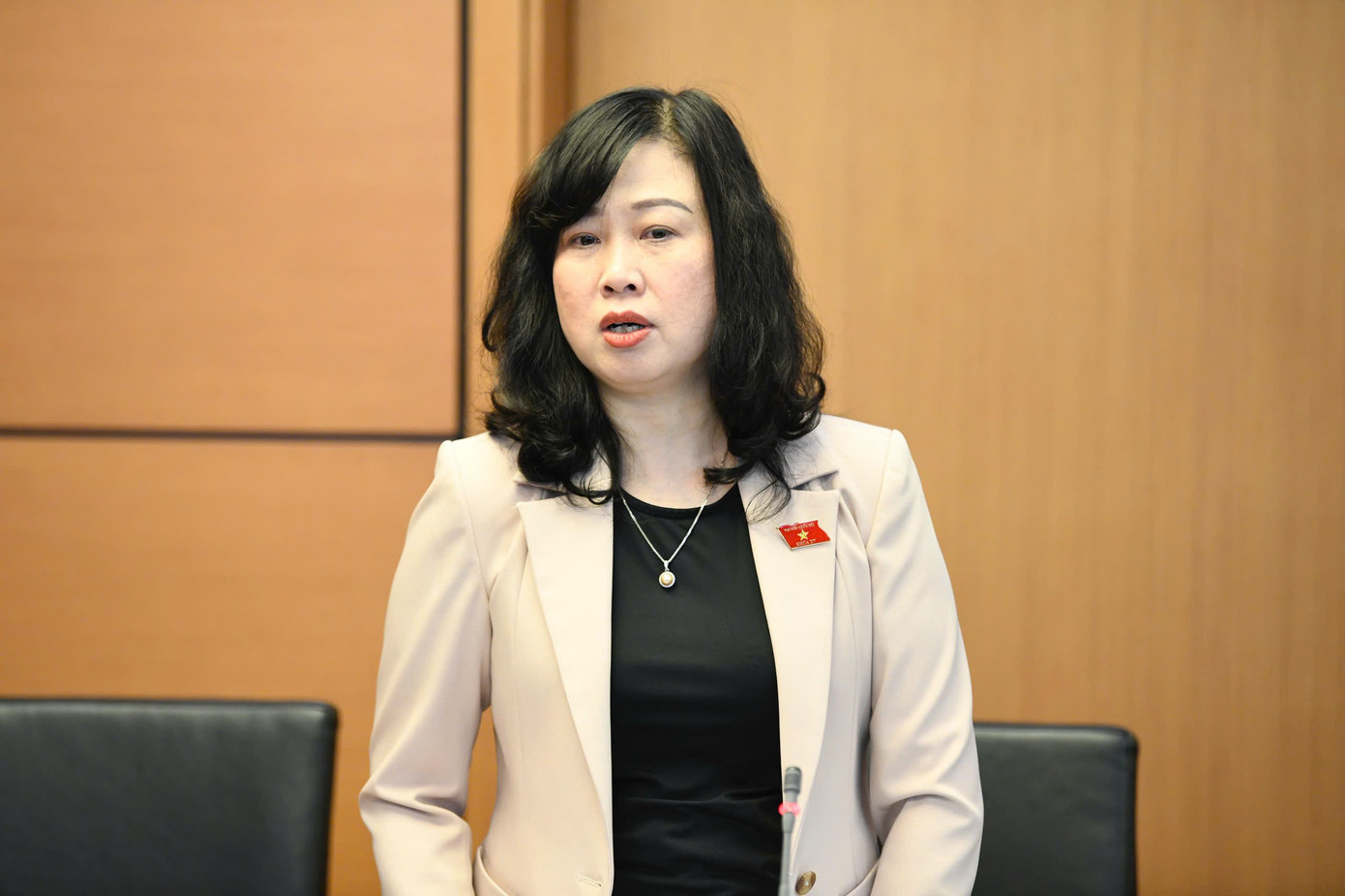 Bộ trưởng Bộ Y tế Đào Hồng Lan. Ảnh: Như Ý. tienphong-2511dhl.jpg