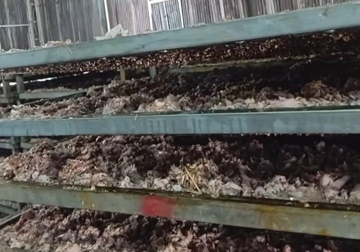 Phát hiện dấu hiệu bất thường, người dân xông vào kiểm tra: Sốc với cảnh phơi sấy chân gà, vịt bốc mùi kinh hoàng trong xưởng cả nghìn m²