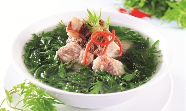 Việt Nam có một loại cây dược liệu quý, được gọi là 'nhân sâm của người nghèo', giá thành cực rẻ - ảnh 2