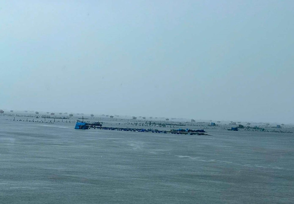 'Thủ phủ tôm hùm' bị xóa sổ - ảnh 1