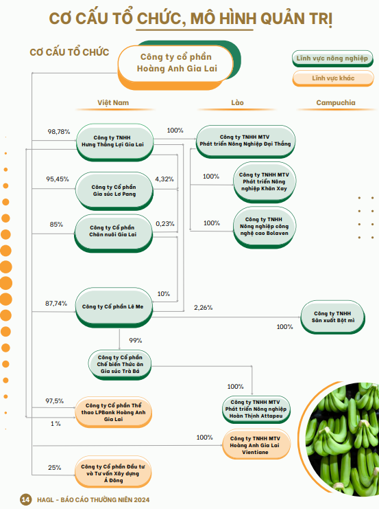 Ảnh chụp màn hình 2025-11-26 095950