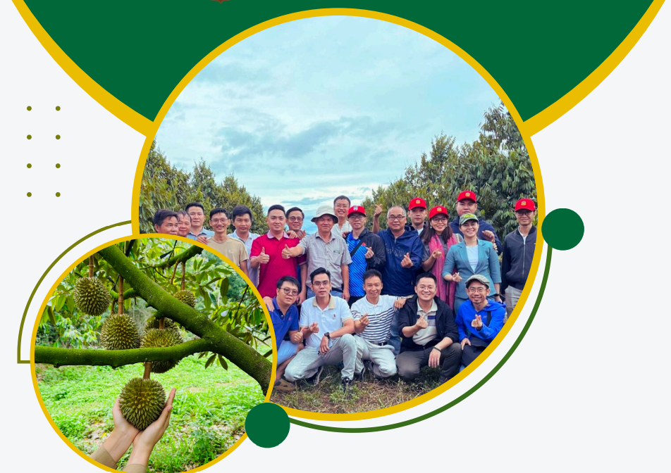 Ảnh chụp màn hình 2025-11-26 095610