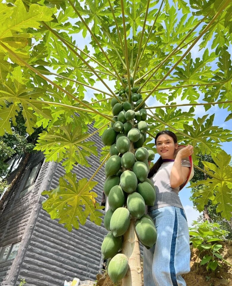 Nữ NSND trẻ nhất Việt Nam sở hữu biệt phủ 8.000m² bề thế ở ngoại thành Hà Nội - ảnh 18