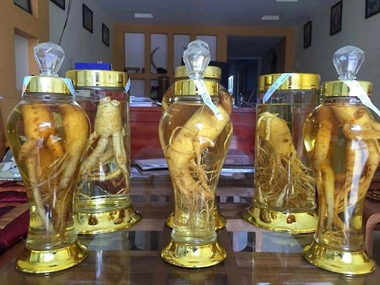 Việt Nam có một loại cây dược liệu quý, được gọi là 'nhân sâm của người nghèo', giá thành cực rẻ - ảnh 4