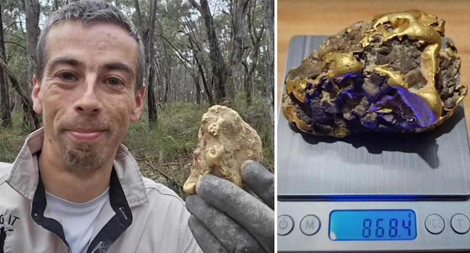 Đang đào đất, người đàn ông nhặt được cục vàng gần 1kg, trị giá hơn 2,6 tỷ đồng - ảnh 2