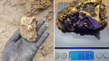Đang đào đất, người đàn ông nhặt được cục vàng gần 1kg, trị giá hơn 2,6 tỷ đồng