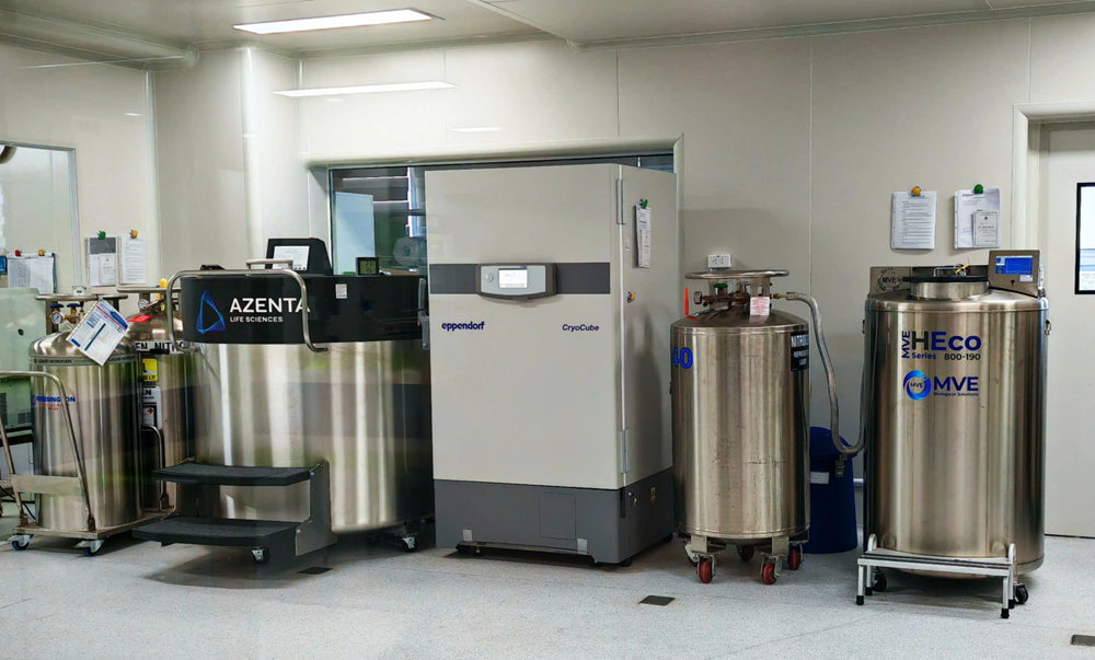 Loại tế bào ‘vạn năng’ mở ra hy vọng điều trị hơn 80 bệnh lý về máu - ảnh 3