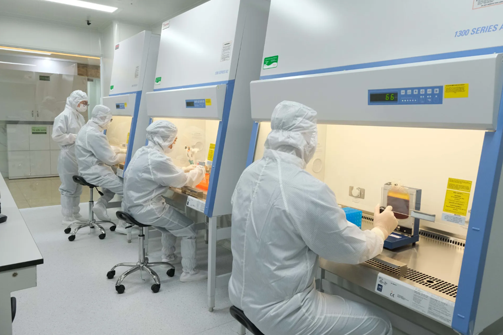 Loại tế bào ‘vạn năng’ mở ra hy vọng điều trị hơn 80 bệnh lý về máu - ảnh 5