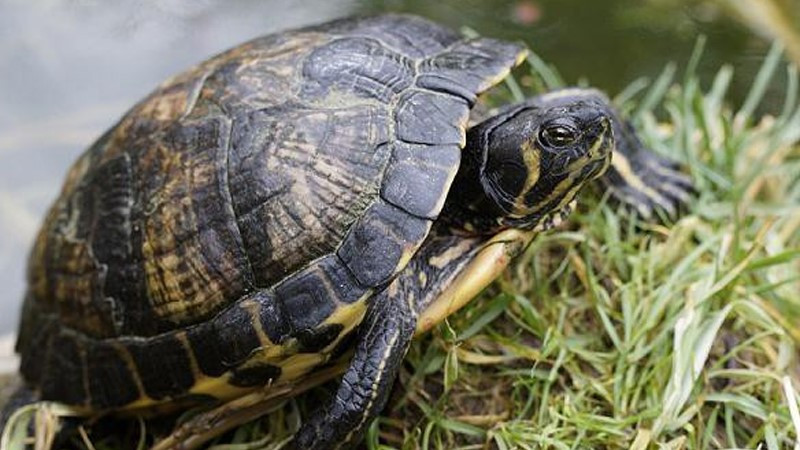 7 dấu hiệu cho thấy nhà bạn đang có phong thủy tốt, tài lộc dồi dào, gia đạo êm ấm - ảnh 2