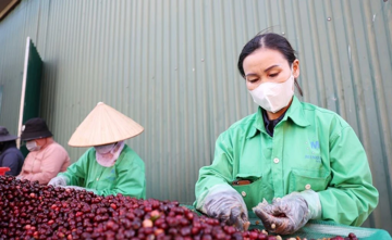 Bộ Tài chính trình phương án cấp bách gỡ vướng mắc thuế giá trị gia tăng