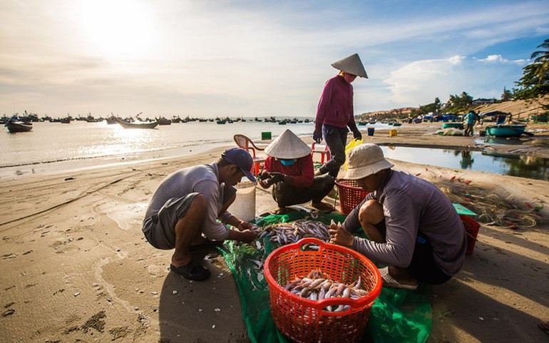 'Thiên đường du lịch miền Trung' được dự báo sẽ 'bùng nổ' trong năm 2026 - ảnh 6