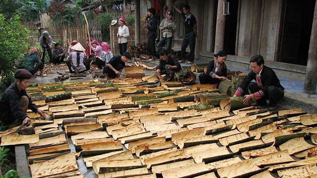 Loại cây được ví như 'vàng xanh' của nông nghiệp Việt Nam, mang lợi ích sức khỏe bất ngờ - ảnh 2