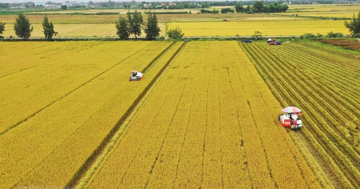 Kể từ nay, người sở hữu nhiều đất nông nghiệp sẽ hưởng lợi lớn