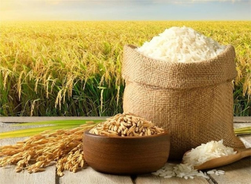 Philippines vẫn vắng bóng, giá gạo Việt Nam và Thái Lan bất ngờ bật tăng nhờ 'nhân tố bí ẩn'