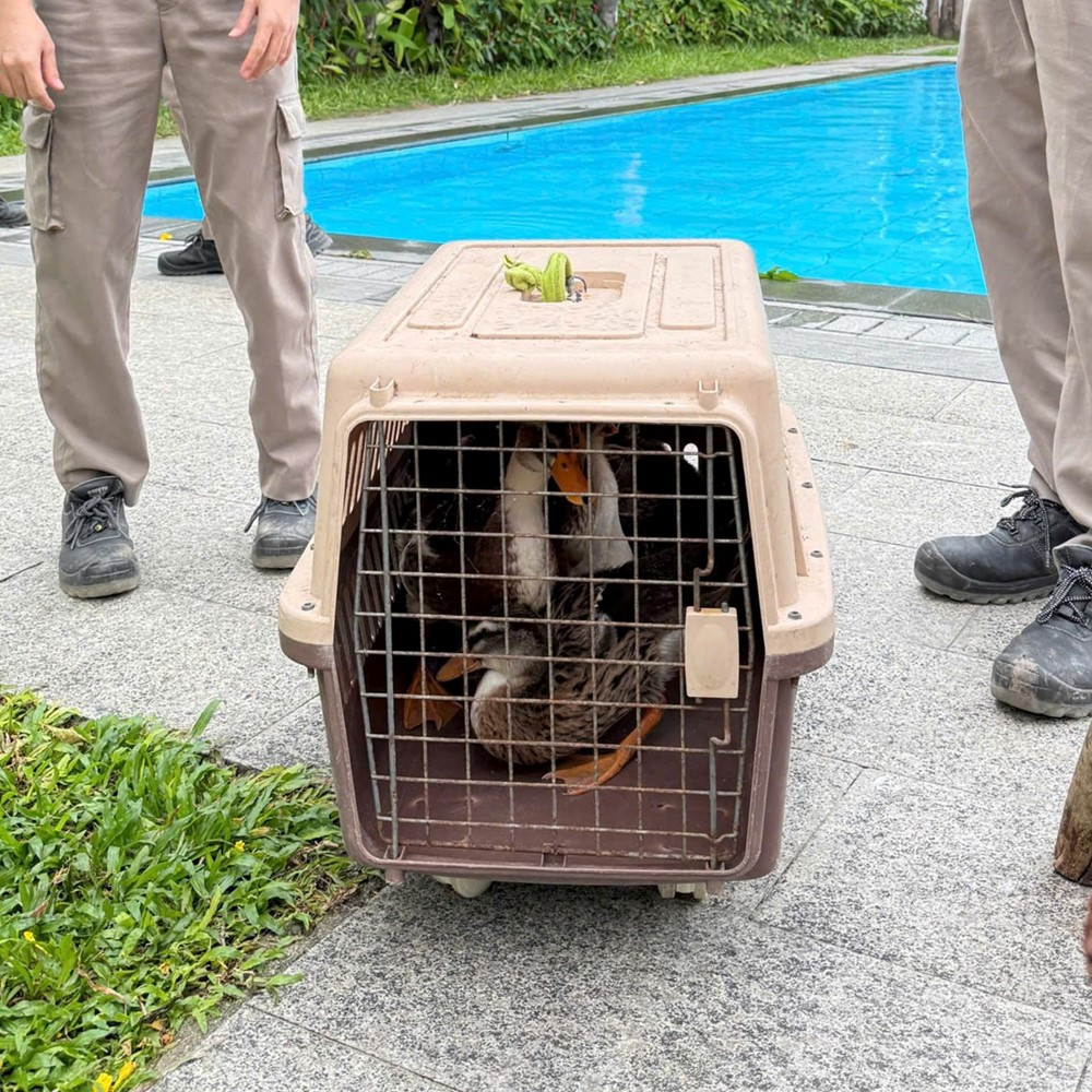 Vinpearl Nha Trang phát 'tin khẩn' - ảnh 3