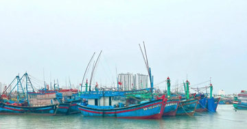 Khánh Hòa cấm tàu thuyền, khẩn cấp điều tiết hồ chứa đối phó bão Kalmaegi