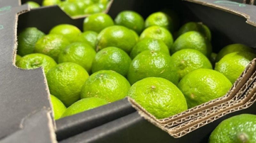 Loại quả bán đầy ở chợ Việt Nam giá cực rẻ: Sang trời Tây thành hàng hot, được các 'đại gia dầu mỏ' tranh mua như đặc sản