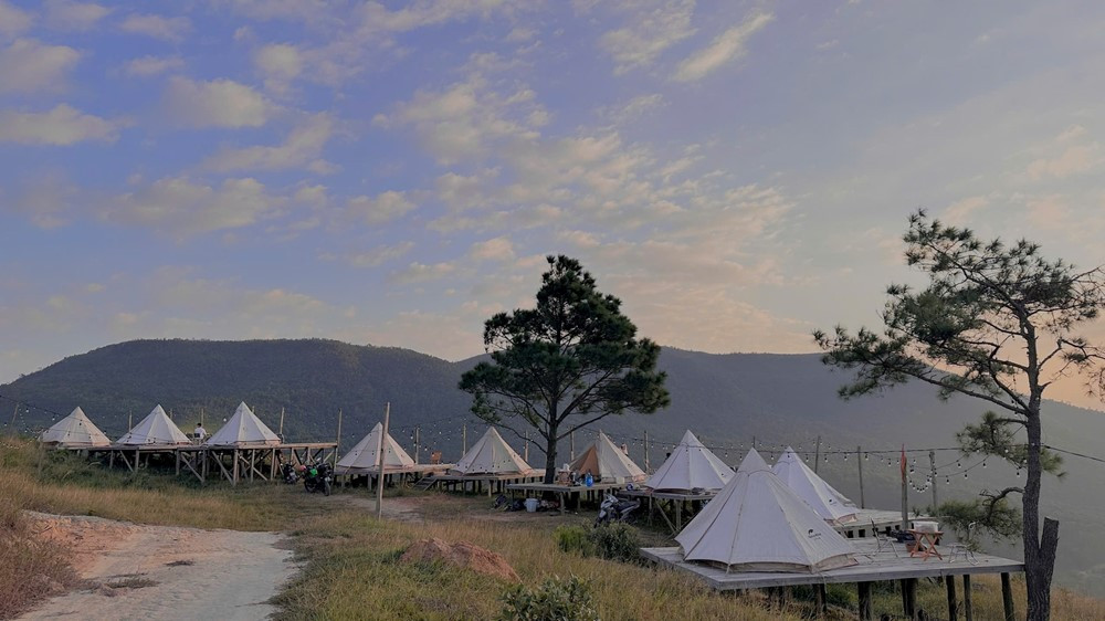 Cách Hà Nội chỉ 2 tiếng đi xe có một đồi cỏ cháy đẹp như phim Hàn Quốc, rất nguyên sơ, cắm trại đẹp đỉnh - ảnh 5