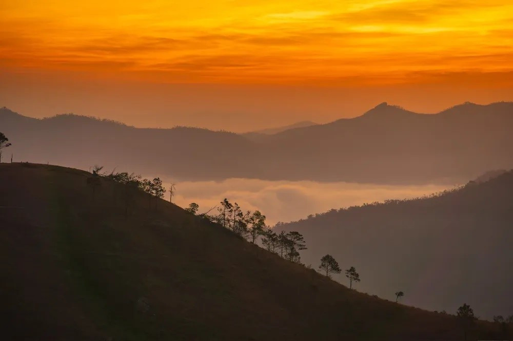 Cách Hà Nội chỉ 2 tiếng đi xe có một đồi cỏ cháy đẹp như phim Hàn Quốc, rất nguyên sơ, cắm trại đẹp đỉnh - ảnh 4