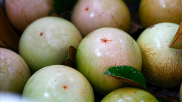 Một loại quả chỉ duy nhất Việt Nam xuất khẩu trên thế giới: Mỹ, Trung Quốc mua ào ào dù giá cao, có người phải thốt lên 'độc nhất vô nhị'