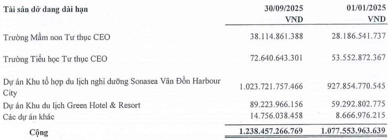 Doanh thu bất động sản chững lại, <a style='text-decoration: none;' href='/CEO'>CEO</a> Group vẫn tăng lãi nhờ tối ưu chi phí- Ảnh 2.