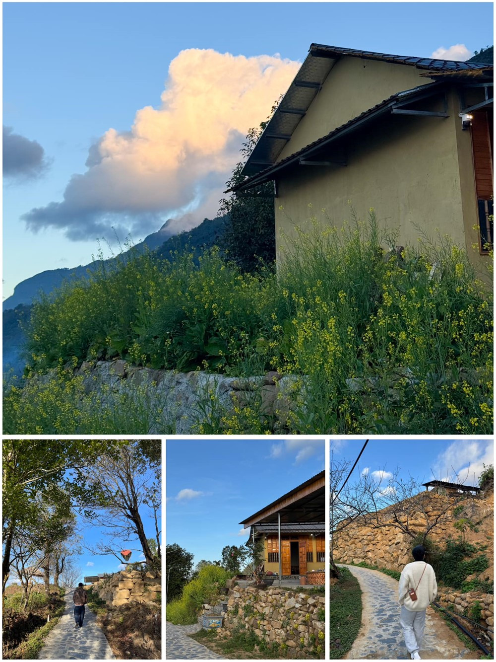 Ngôi làng du lịch được ví như 'nàng thơ' của Tây Bắc, chỉ cách Sa Pa khoảng 50km, bốn mùa đều đẹp như một bức tranh - ảnh 3