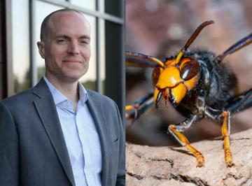 Giám đốc Trường Quốc tế QSI Hải Phòng và con trai thiệt mạng vì bị ong bắp cày tấn công