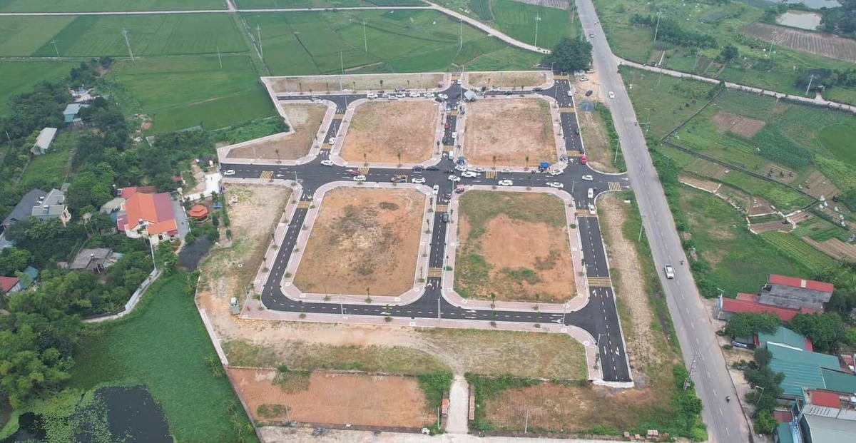 VARS hiến kế ‘chặn đứng’ nhóm đầu cơ, trục lợi trong đấu giá đất- Ảnh 1.