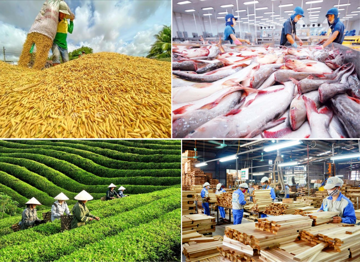 Giữa mùa mưa bão, thủy sản trở thành động lực tăng trưởng chính trong sản xuất nông nghiệp 10 tháng đầu năm