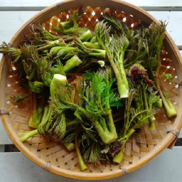 Loại rau được ví là 'cao lương mỹ vị số 1 thế giới': Việt Nam có nhưng ít ai biết, giá tới 400.000 đồng/kg