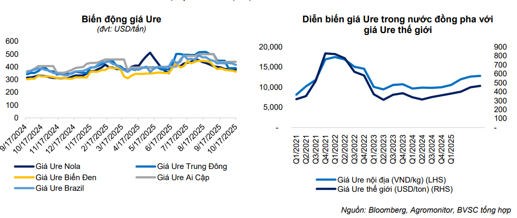 Giá urê trong nước điều chỉnh tăng theo giá thế giới và nhu cầu cao ở vụ mùa Đông - Xuân, tuy nhiên biến động ở mức độ hẹp hơn