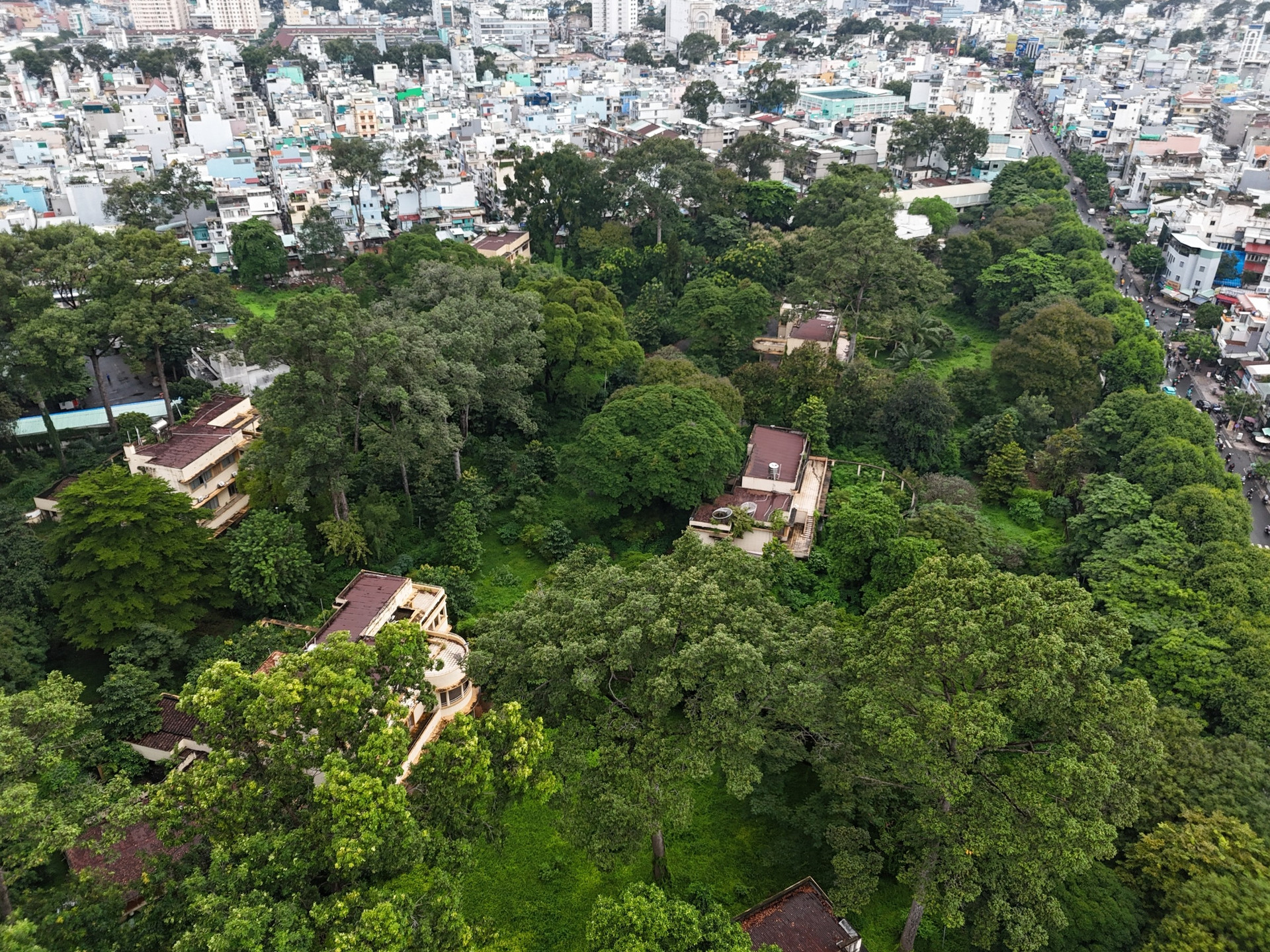 Cụm biệt thự của 'đại phú giàu nhất Nam Bộ' được đề xuất thành bảo tàng, thư viện- Ảnh 2.
