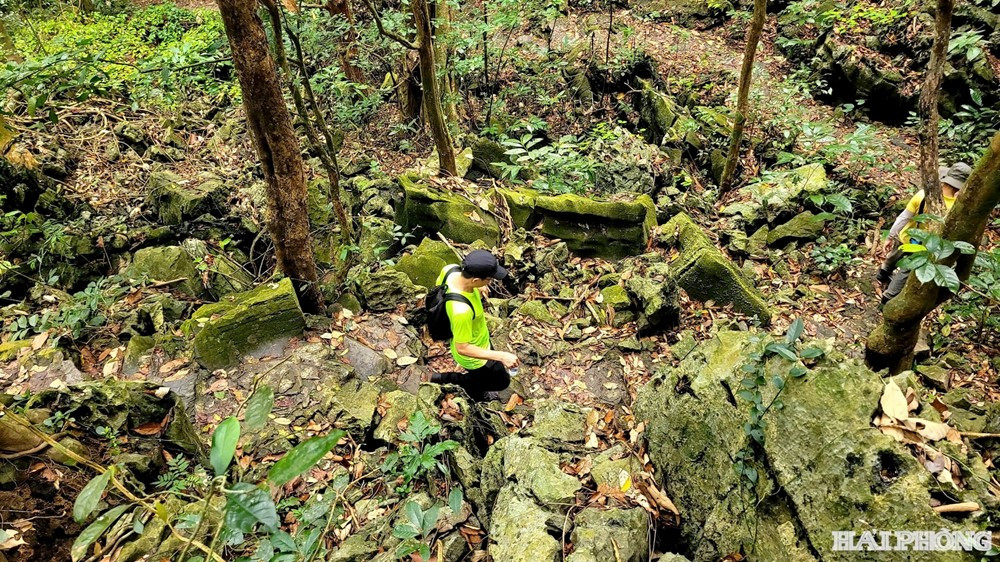 Hòn đảo vừa được tạp chí Mỹ vinh danh 'tuyệt nhất Đông Nam Á', chỉ cách Hà Nội 140km, có Vườn Quốc gia được UNESCO công nhận - ảnh 3