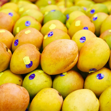 Loại xoài đi máy bay từ Australia về Việt Nam giá đắt gấp 7 lần hàng nội vẫn 'cháy hàng'