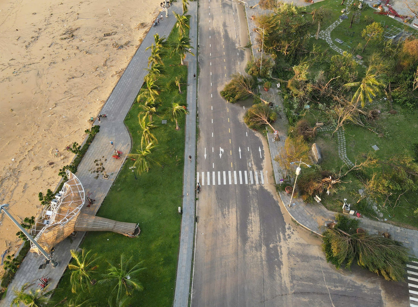 Cây cối trên hầu hết các nơi khu vực đông Gia Lai bị gãy đổ trước bão táp cấp 14. ecc6db9ed59959c70088.jpg