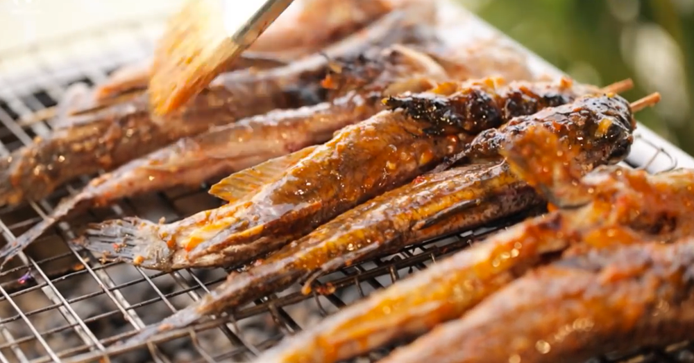 Sinh vật bi thảm nhất hành tinh: Mất 300 triệu năm tiến hóa để biết đi trên cạn nhưng lại... 'thất bại' trước muối ớt Cần Giờ - ảnh 3