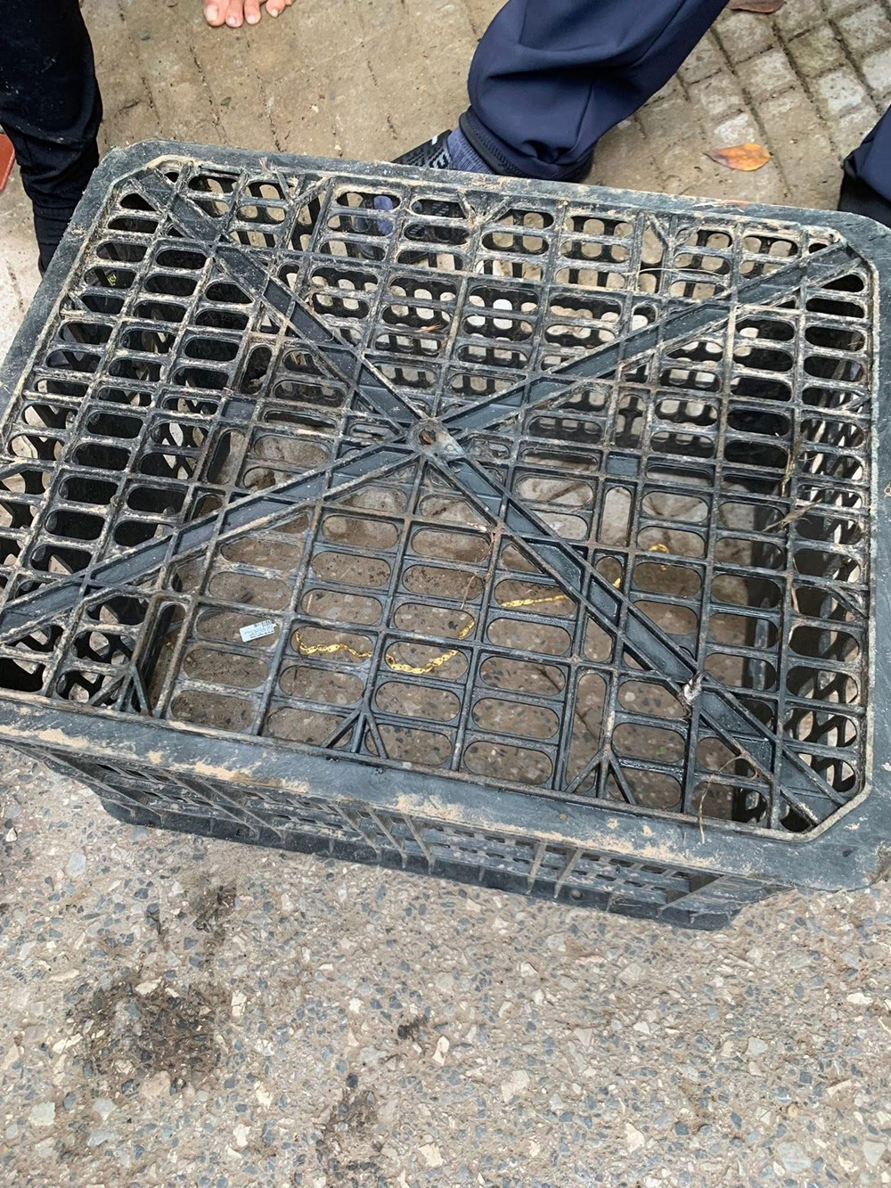 Bắt nam thanh niên cướp tiệm vàng sinh năm 2006 - ảnh 1