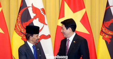 Chủ tịch nước Lương Cường chủ trì lễ đón Quốc vương Brunei