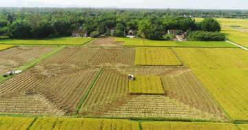 Kể từ nay, các trường hợp này sẽ được kéo dài thời hạn miễn thuế sử dụng đất nông nghiệp