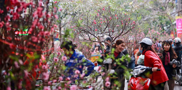 Lịch nghỉ Tết Nguyên đán 2026 chi tiết cho sinh viên: Một trường cho nghỉ tới 30 ngày